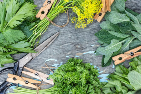 Best Way to Dry a Bundle of Herbs Image